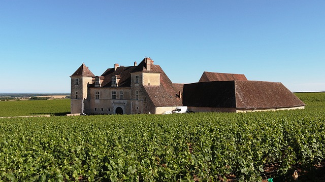 premiers grands crus classes
