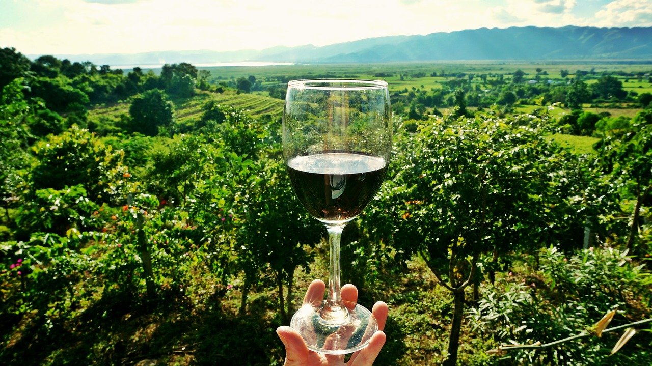 Qu&rsquo;est-ce qu&rsquo;un vin rond ?