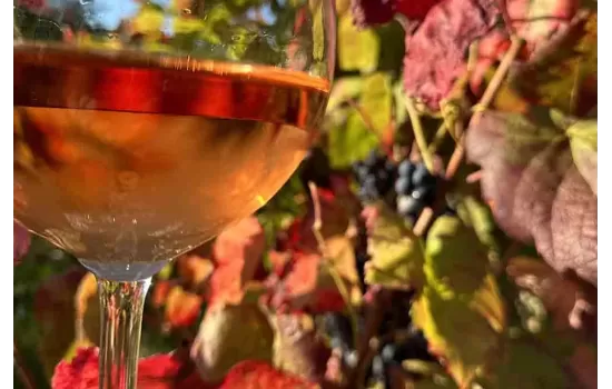 Vin rosé sucré