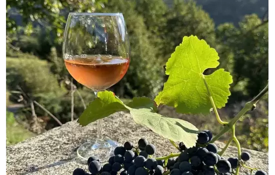 Vin rosé sec