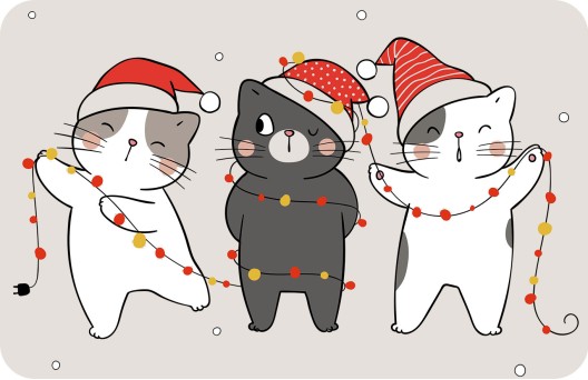 
			                        			Cadeau